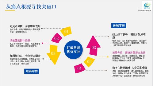 社交電商新零售 互聯(lián)網(wǎng)時(shí)代中國(guó)零售業(yè)的轉(zhuǎn)型與創(chuàng)新